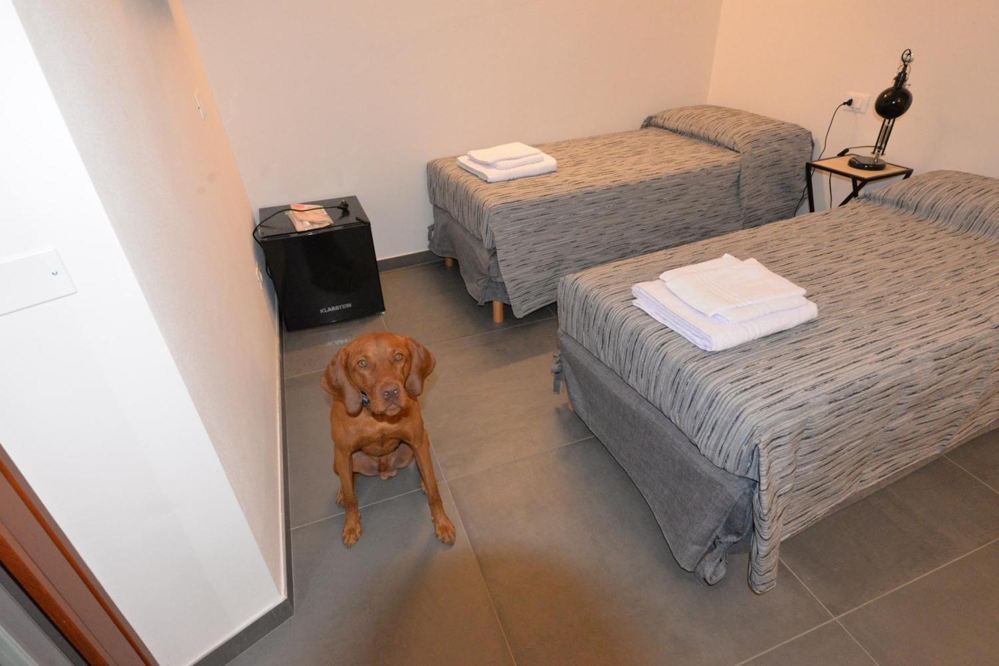 Casa Dei Colli Hotel Monzambano Kültér fotó
